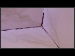 Remove Replace Moldy Shower Caulk