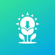 Photosynthesis Icon With Plant And Sun