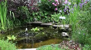 Fountain With The Fish Stock