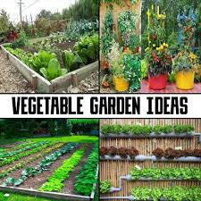 Vegetable Garden Ideas Apk