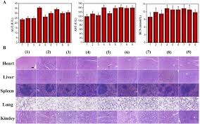 targeted chemo photodynamic therapy