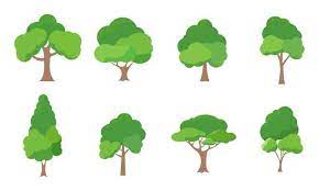 Tree Icon Vector Art Icons And