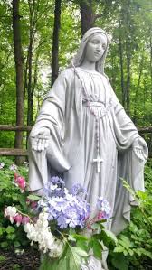 What Is A Virgin Mary Garden How To