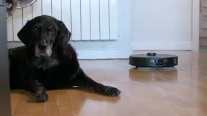 Autonomous Robot Vacuum Cleaner Clean