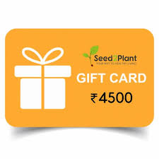 Seed2plant Gift Card At 4500 00