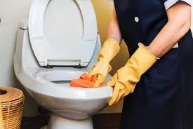How To Clean A Toilet Bowl Fast And Easy