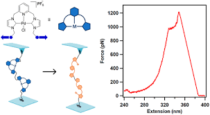 Carbene Bond Dissociation