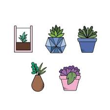 Cactus Pot Or Home Desk Plant Vector