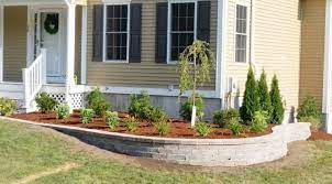 Retaining Wall Shrub Tree Planting