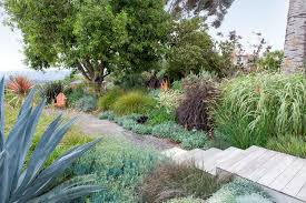 Drought Tolerant Landscaping Ideas