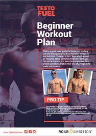 Beginner Muscle Building Workout Guide