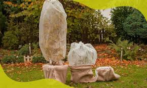 How To Keep Plants Warm In Winter
