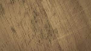 How To Fix Scratches In Hardwood Floors