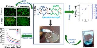 Bone Tissue Engineering