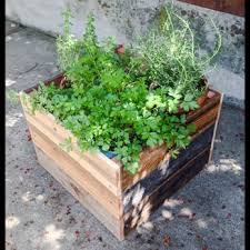 Wine Barrel Planter S Updated