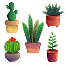Cactus And Succulent Game Icon