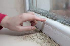 How To Prevent Damp In Winter Eti