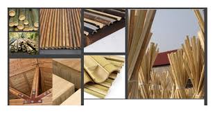 standards for bamboo structural design