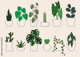 Indoor Plants Icon Set Stock Vector