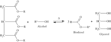 Biodiesel Via Catalytic Processes