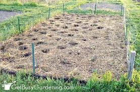 Mulching A Vegetable Garden