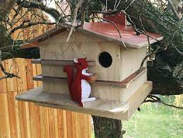 Making Your Own Squirrel House Nest