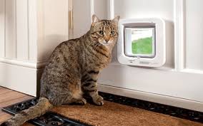 Microchip Cat Door Wood Or Glass Door