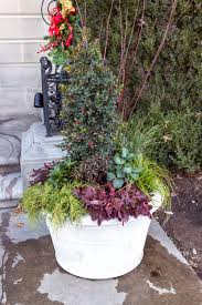 Winter Container Ideas A Garden In