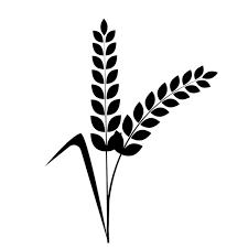 Wheat Ear Icon Grain Icon Agriculture