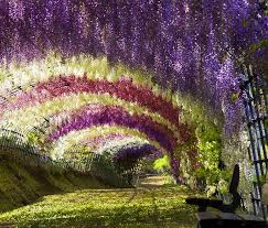 Beautiful Flower Garden With Hanging