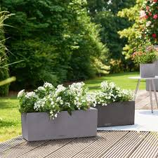 Tips And Ideas For Using Trough Planters