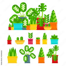 Set Of House Plants Colourful Plants