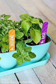 Free Printable Herb Garden Labels