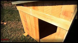 How To Build A Dog House Nikita Maree