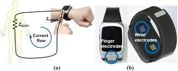Wrist Wearable Bioelectrical Impe