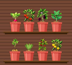 Page 41 Growth Plant Icon Images