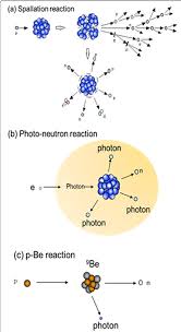 neutron ion reactions