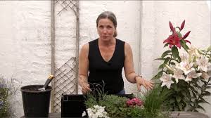 Plantblox Home Garden