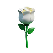 White Rose 3d Rendering Icon