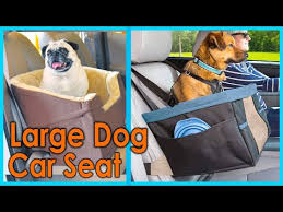 Best Large Dog Car Seat 2021 Top 5