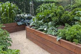 Square Foot Gardening