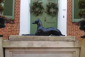 Greyhound Frederick Maryland