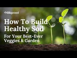 How To Build Healthy Soil For Your Best