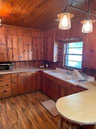 Knotty Pine Kitchen Update