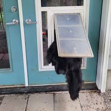 Sliding Glass Door With Built In Dog