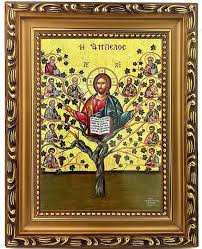 Christ The Tree Of Life Vine