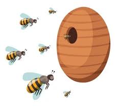 Bee Ilrations Stock Bee Vectors
