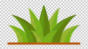 House Plants Icon Grass Icon Png