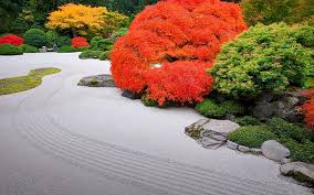 Hd Wallpaper Japanese Garden Plant