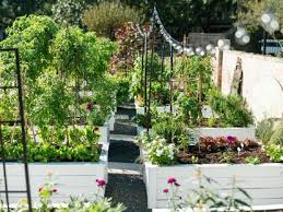 Grow Better Vegetables In Raised Beds
